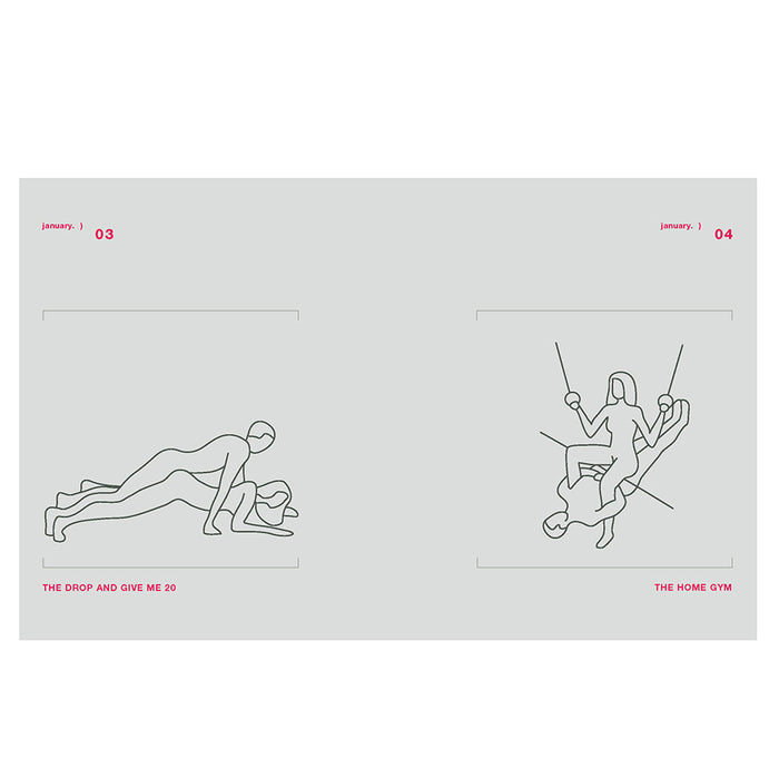 Position of the Day Revised and Updated: Sex Every Day in Every Way 