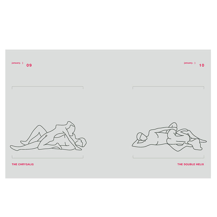 Position of the Day Revised and Updated: Sex Every Day in Every Way 