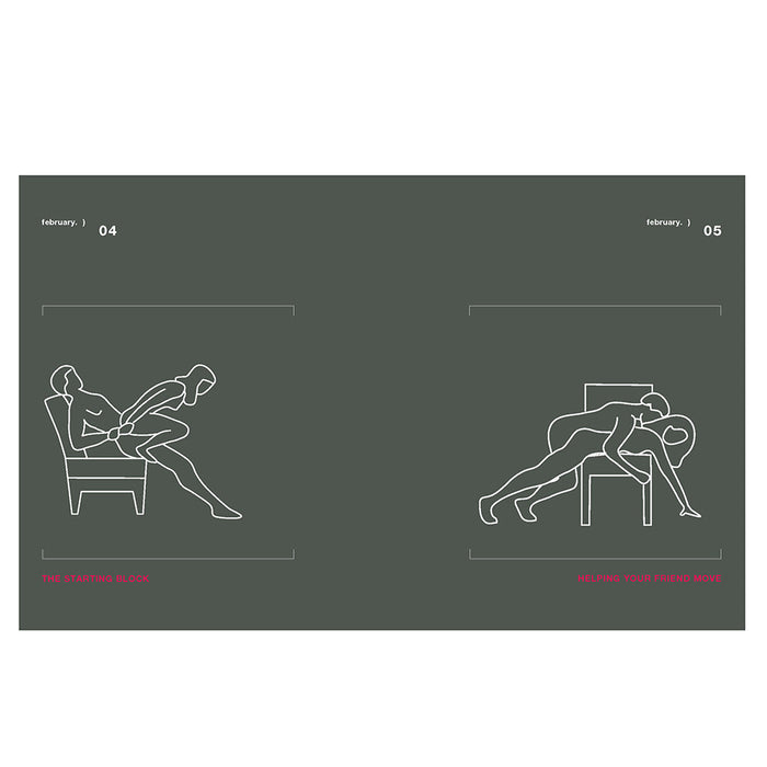 Position of the Day Revised and Updated: Sex Every Day in Every Way 