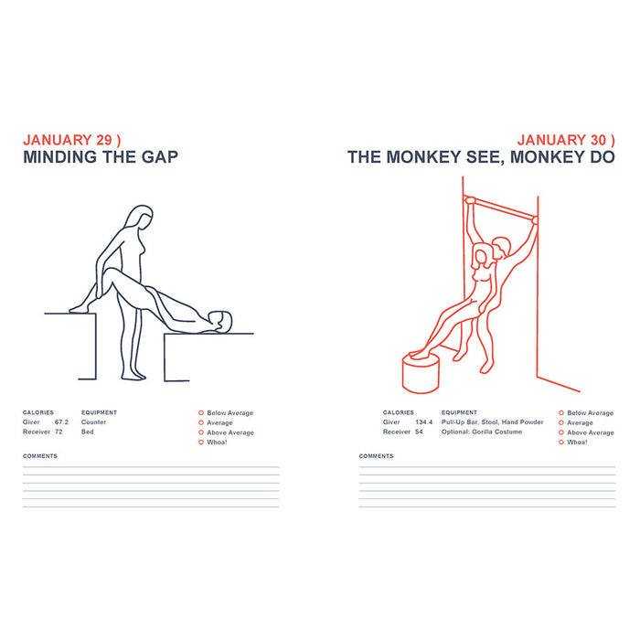 Position of the Day Playbook Revised and Updated: Sex Every Day in Every Way 