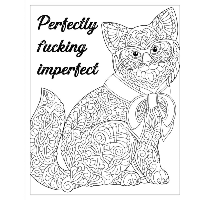 F*cking Fantastic: A Colossal Kick-Ass Coloring Book