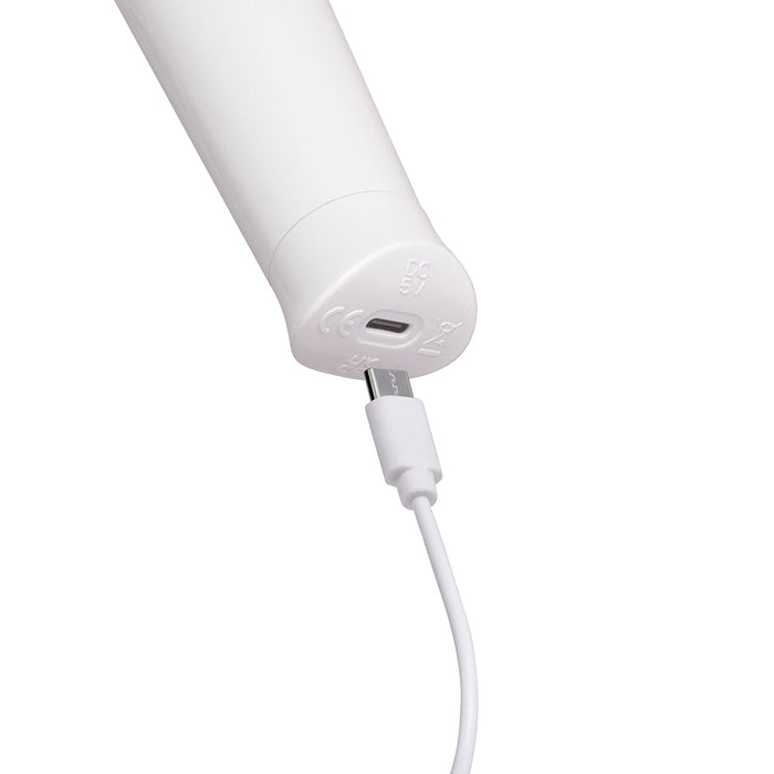 Le Wand Classique Petite Wand Massager