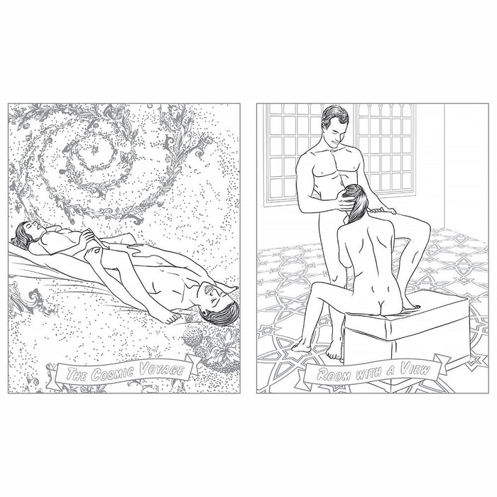 Sex Position Coloring Book: Playtime for Couples